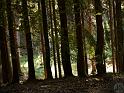 Brunnenrunde (5)